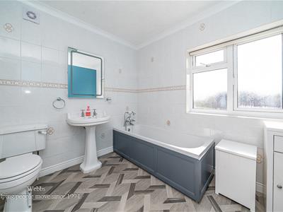 Picture 20